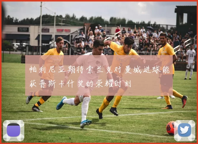 帕利尼亚期待索兰克对曼城进球能获普斯卡什奖的荣耀时刻